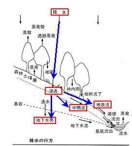 降水の行方１.gif